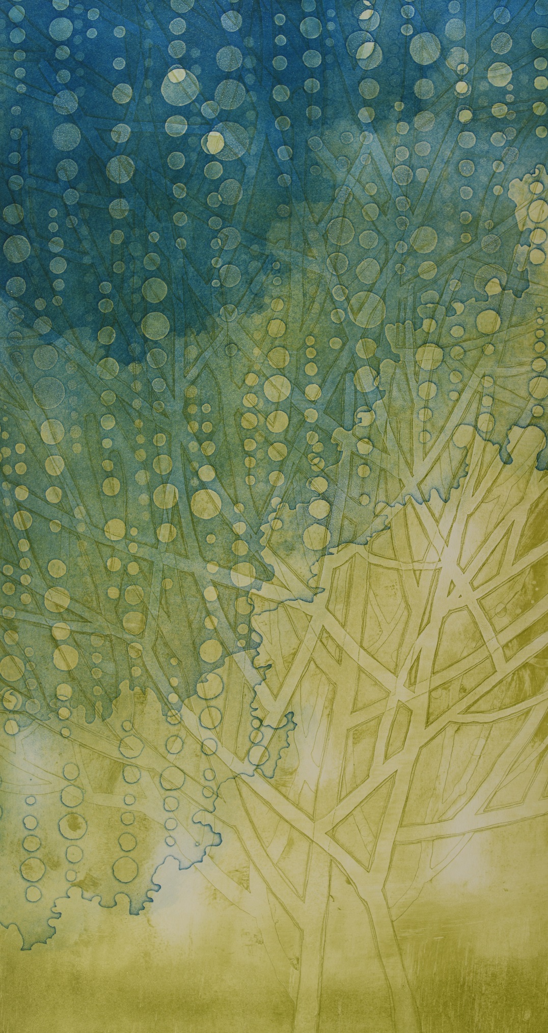 鈴木紗綾香 「向日性理論」 （Oギャラリー） ｜Tokyo Art Beat