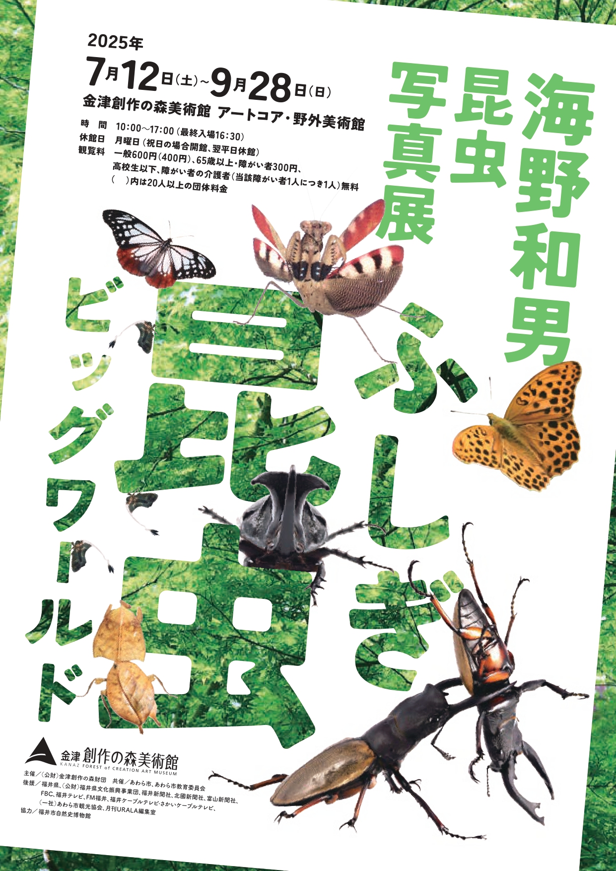 海野和男 昆虫写真展 ふしぎ昆虫ビッグワールド」 （金津創作の