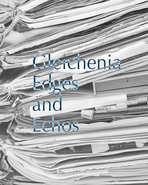 Gleichenia 「Edges and Echoes」 （bookshop / gallery タタ