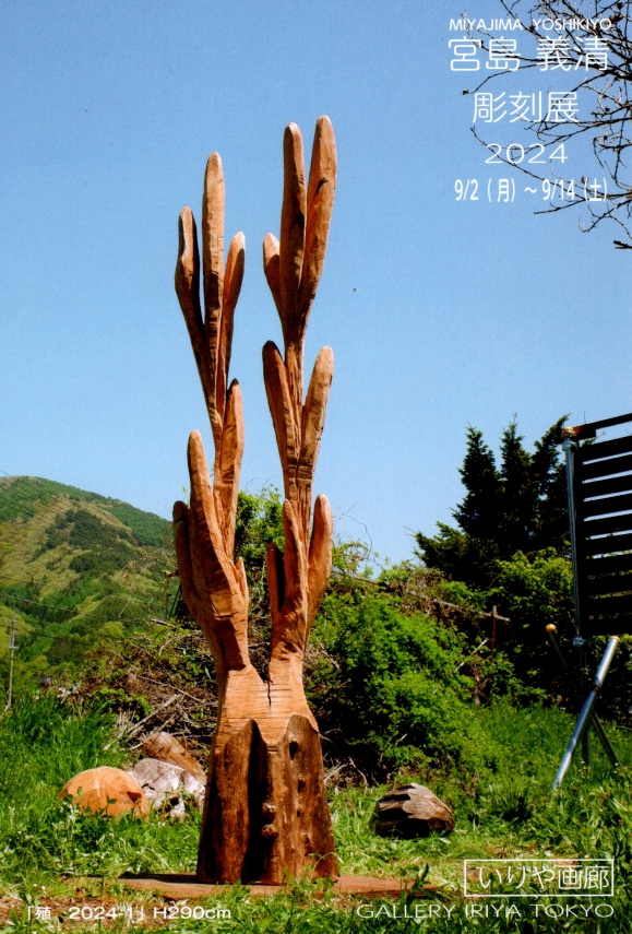 DM_page-0001.jpg?w=784&h=640&q=100