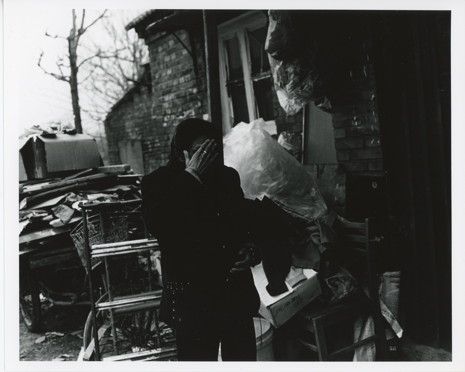 Osamu Kanemura "Skeleton Goats Dust Storms"