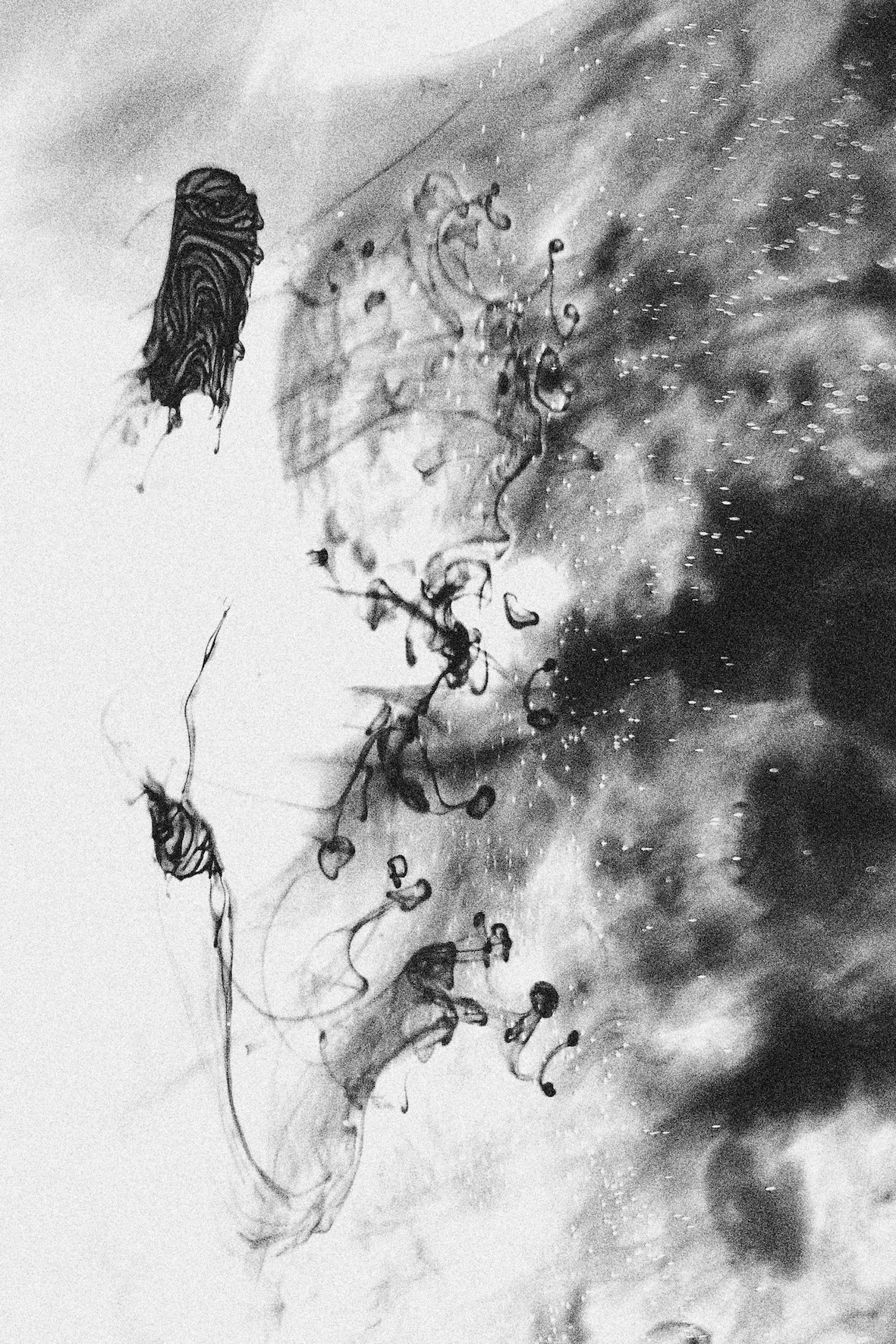 イソ〇一六三八四〇〇」 （落散 京都） ｜Tokyo Art Beat