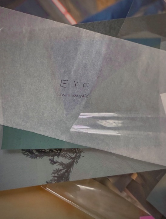 永瀬沙世 「EYE」 （AL） ｜Tokyo Art Beat