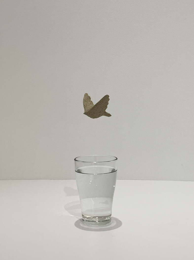 木村のぞみ 「不自由の相対性Ⅱ」 （monade contemporary | 単子現代