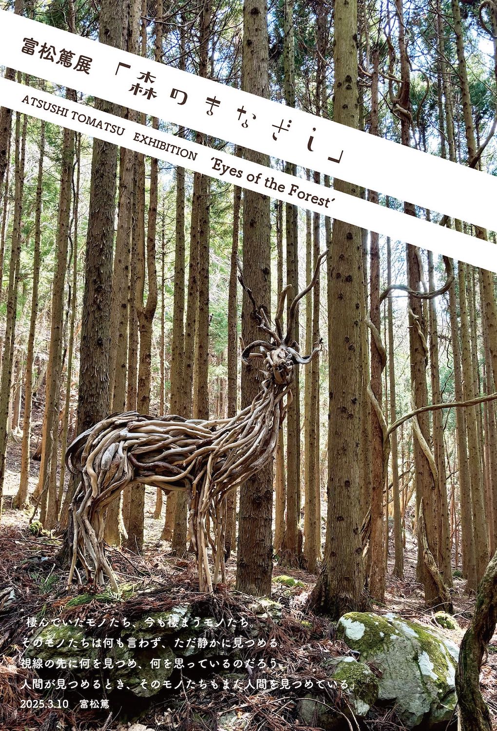 富松篤 「森のまなざし」 （ツォモリリ文庫） ｜Tokyo Art Beat