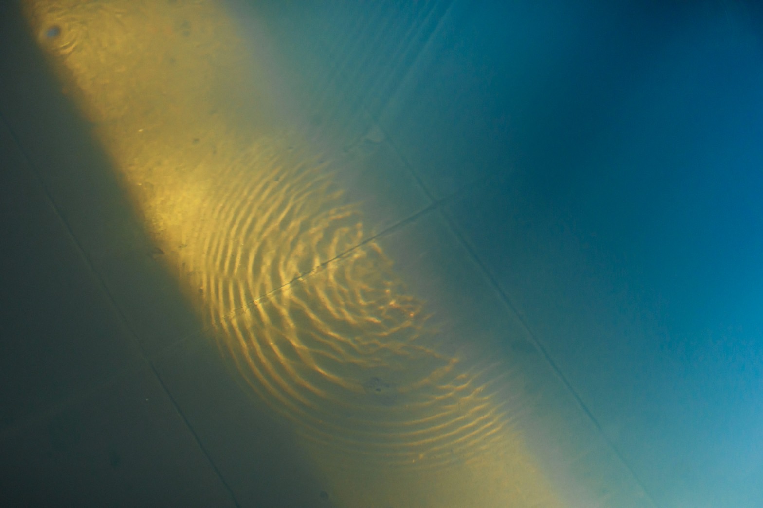 【写真集】その時間の差し出し方　鰤大根的宇宙　湯宿さか本 その時間の差し出し方 1 - 湯宿さか本 - 」 （BOOK AND SONS） ｜Tokyo