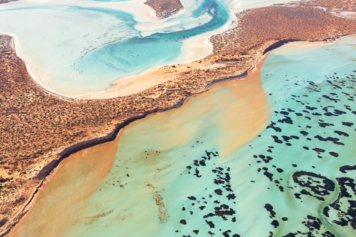 2025年キヤノンカレンダー 竹沢うるま写真展『World Heritage Journey