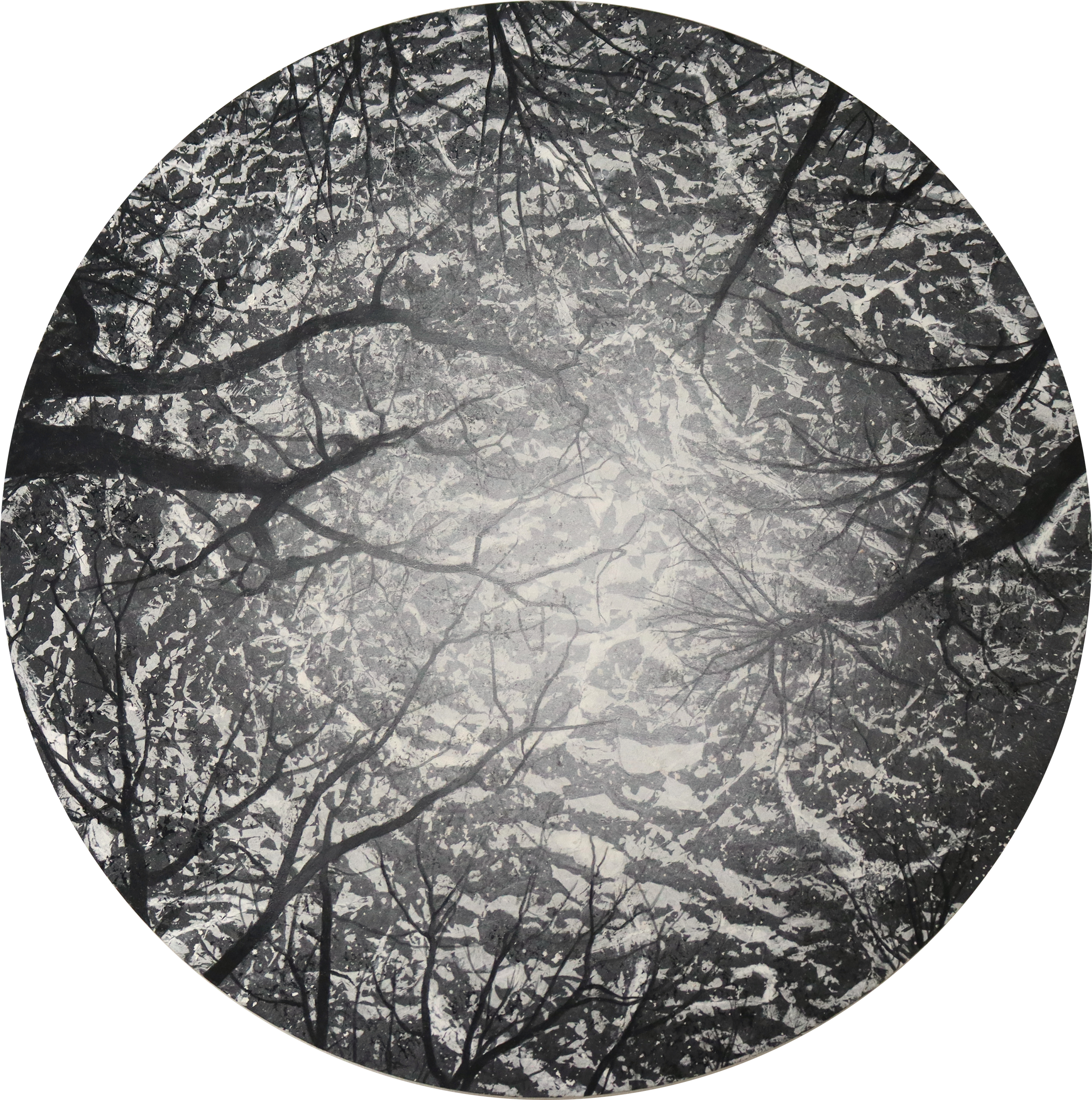 釘町彰 「Absentia - 不在の風景 - 」 （YUKIKOMIZUTANI） ｜Tokyo Art