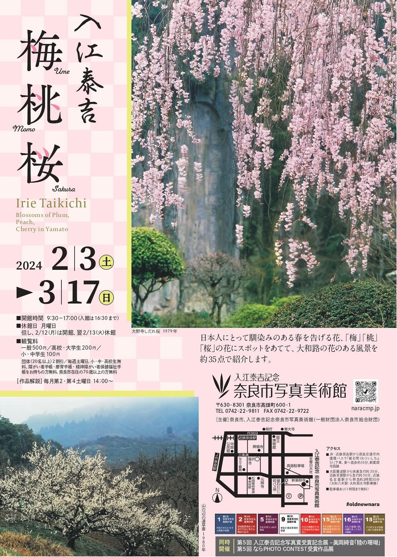 入江泰吉 「梅・桃・桜」 （入江泰吉記念奈良市写真美術館） ｜Tokyo