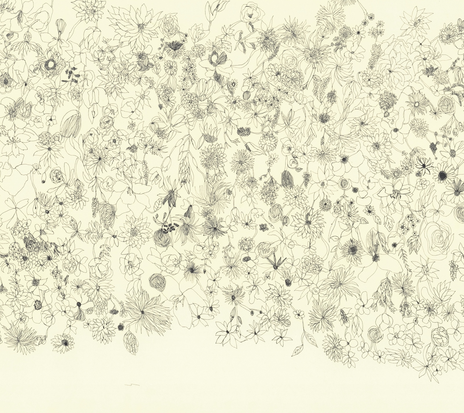 Shu Shiro far away Art Book アートブック 作品集 Shu Shiro far away Art Book アートブック 作品集 Shu Shiro | far