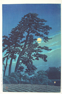 aebcb964d3cfb0556b578c2efa3305