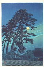 aebcb964d3cfb0556b578c2efa3305