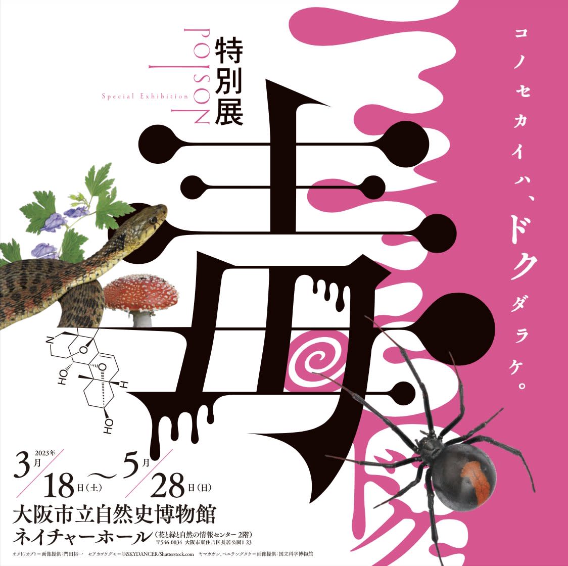 毒」 （大阪市立自然史博物館） ｜Tokyo Art Beat