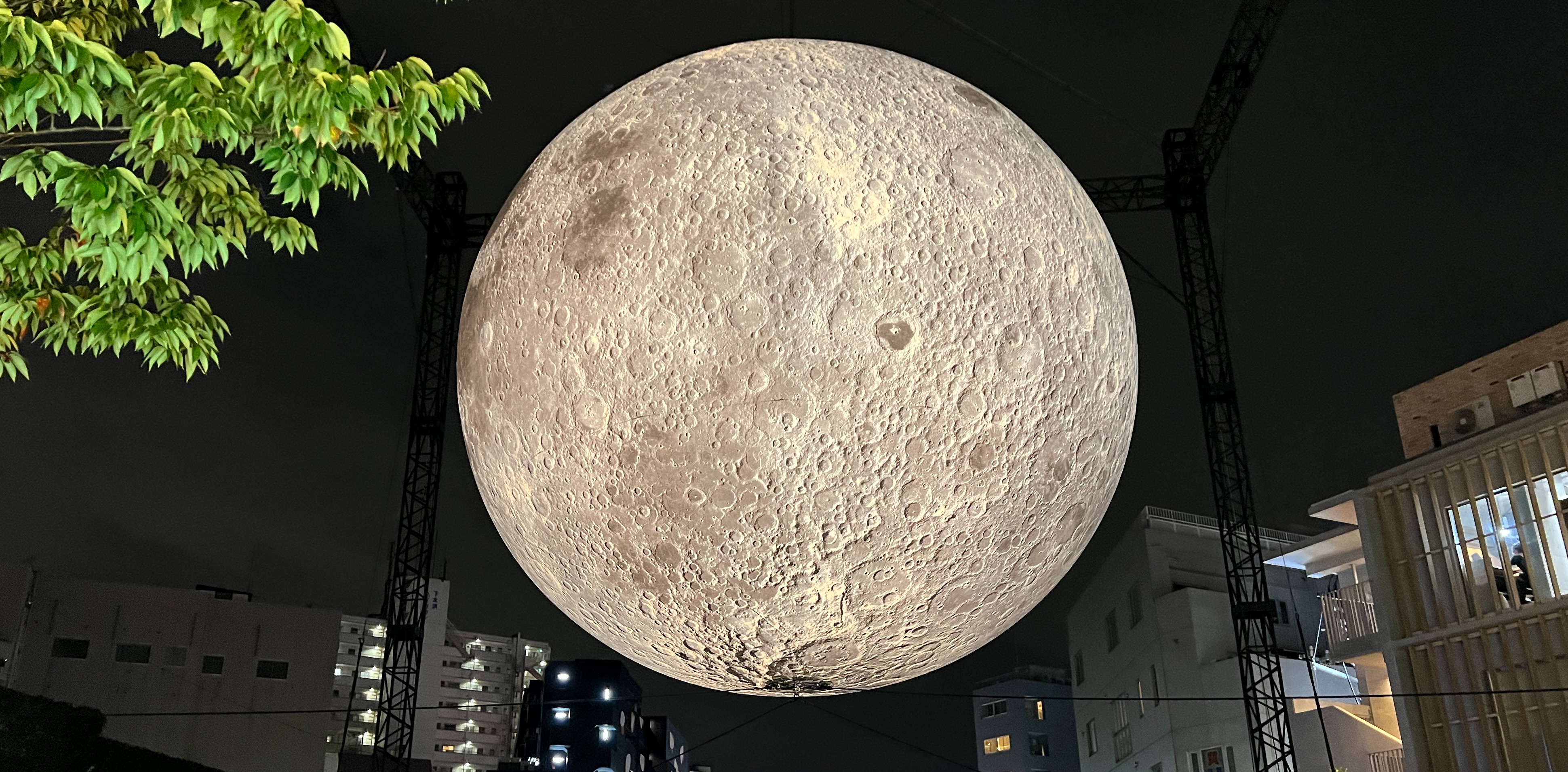 施井泰平インタビュー。著書『新しいアートのかたち NFTアートは何を変えるか』が示すブロックチェーンとアートのこれからとは｜Tokyo Art Beat