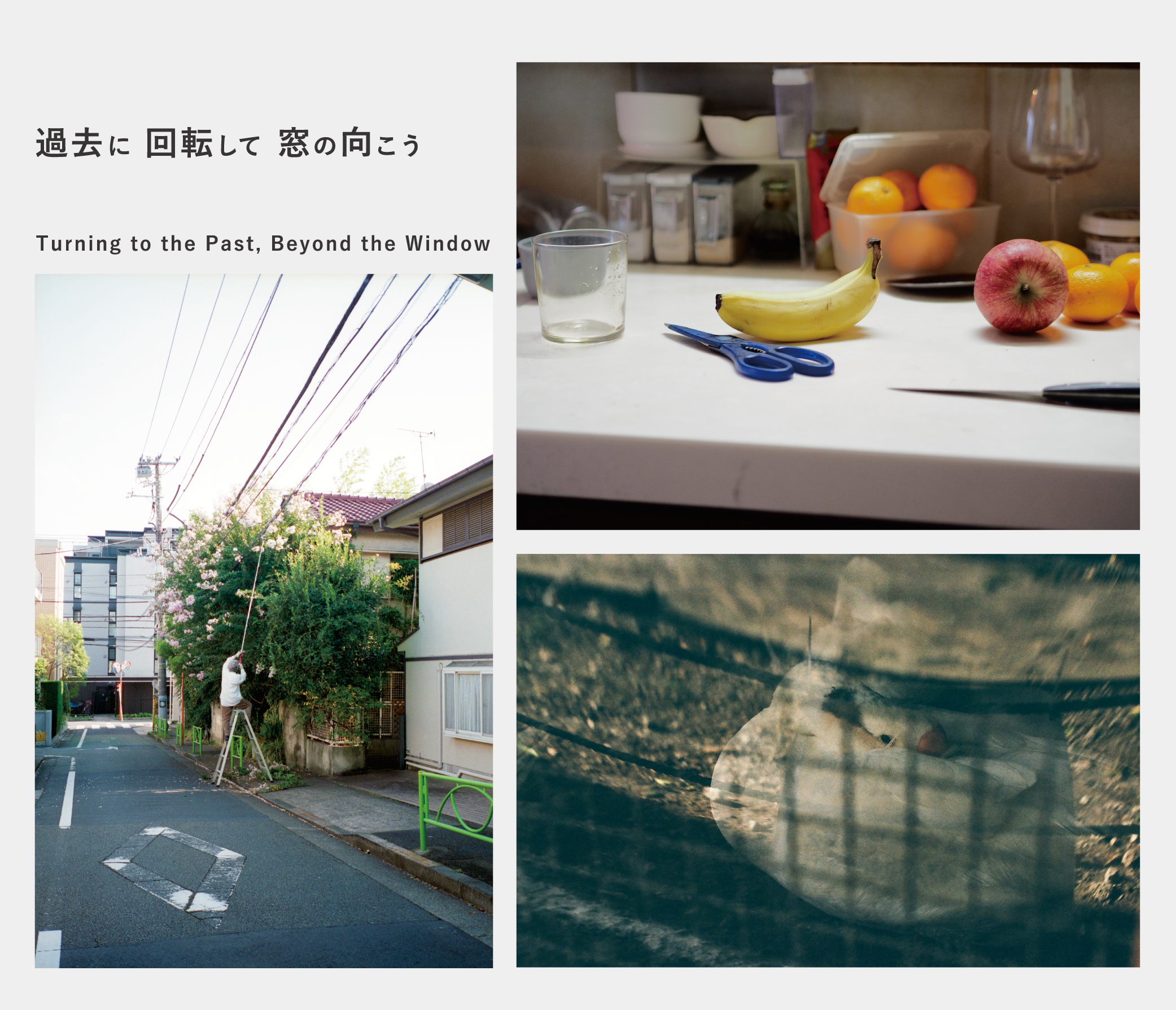 20世紀コンピュータ・アートの軌跡と展望 過去に 回転して 窓の向こう」 (金柑画廊) |Tokyo Art Beat