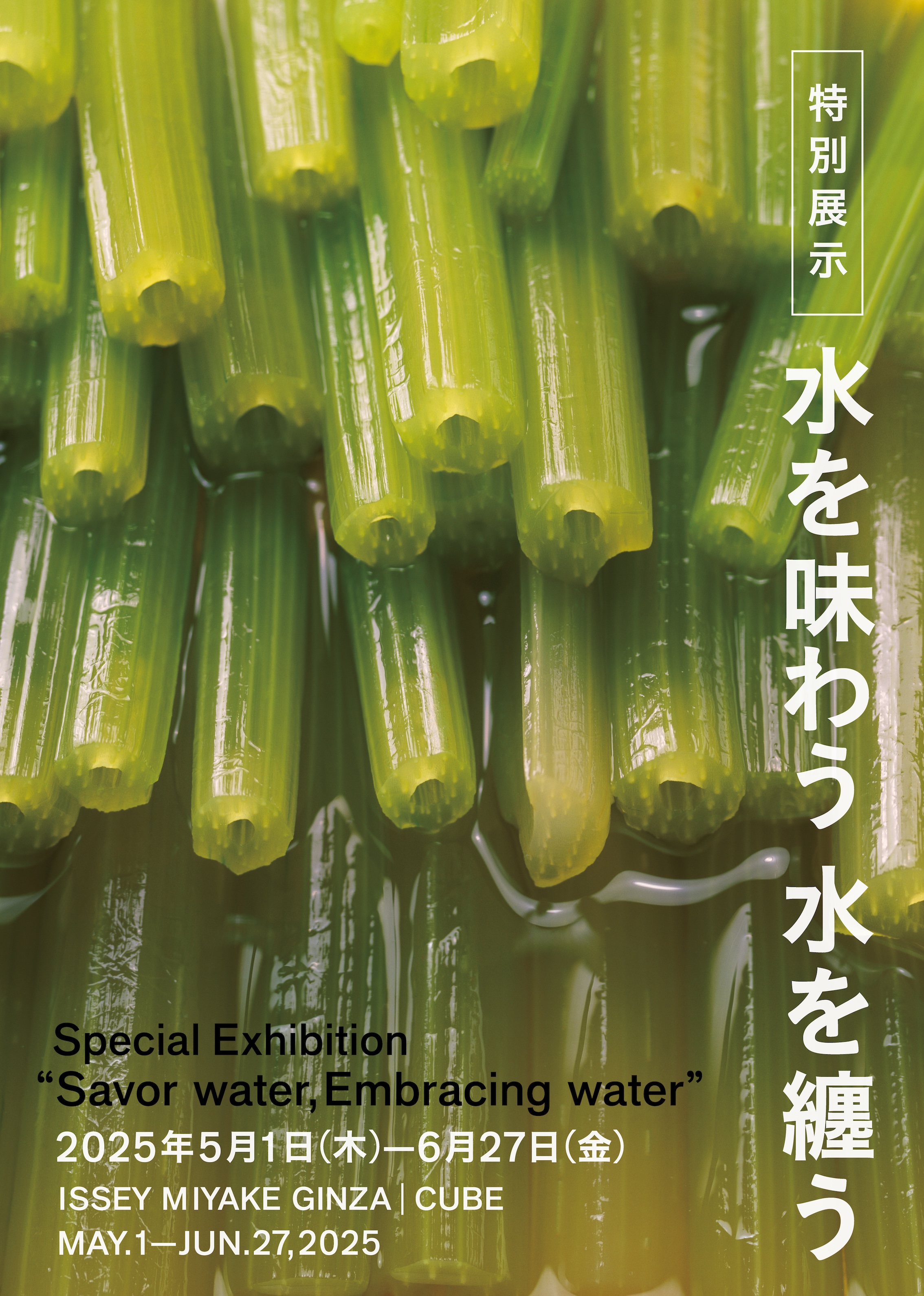 CUBE_フライヤー_IM_水を味わう