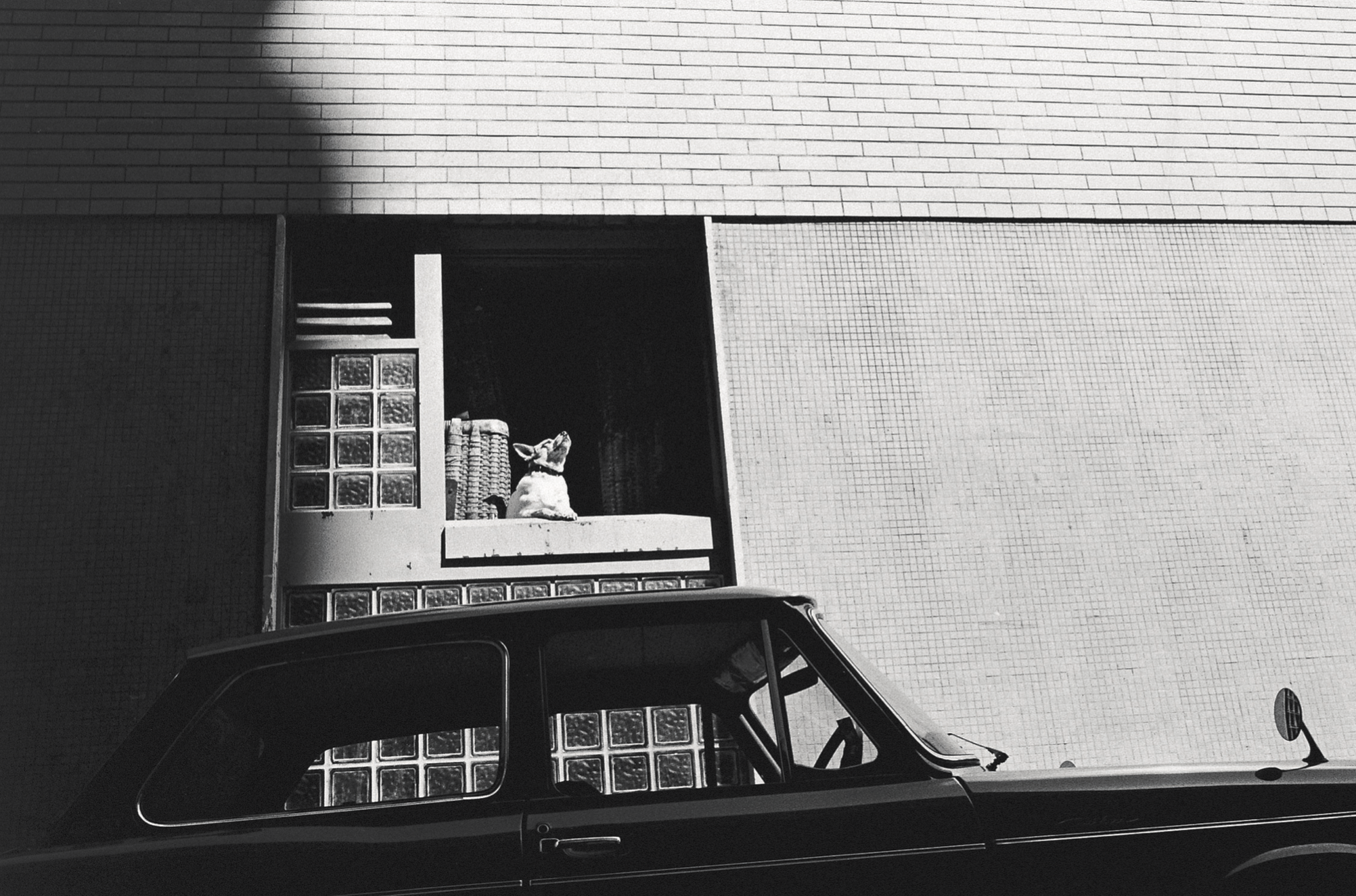 牛腸茂雄 A Retrospective 牛腸茂雄全集 作品編 - 牛腸茂雄