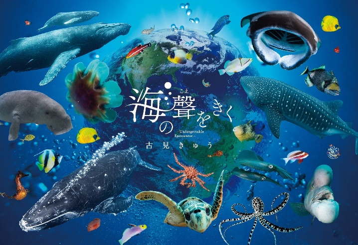 image001-7.jpg?w=1200