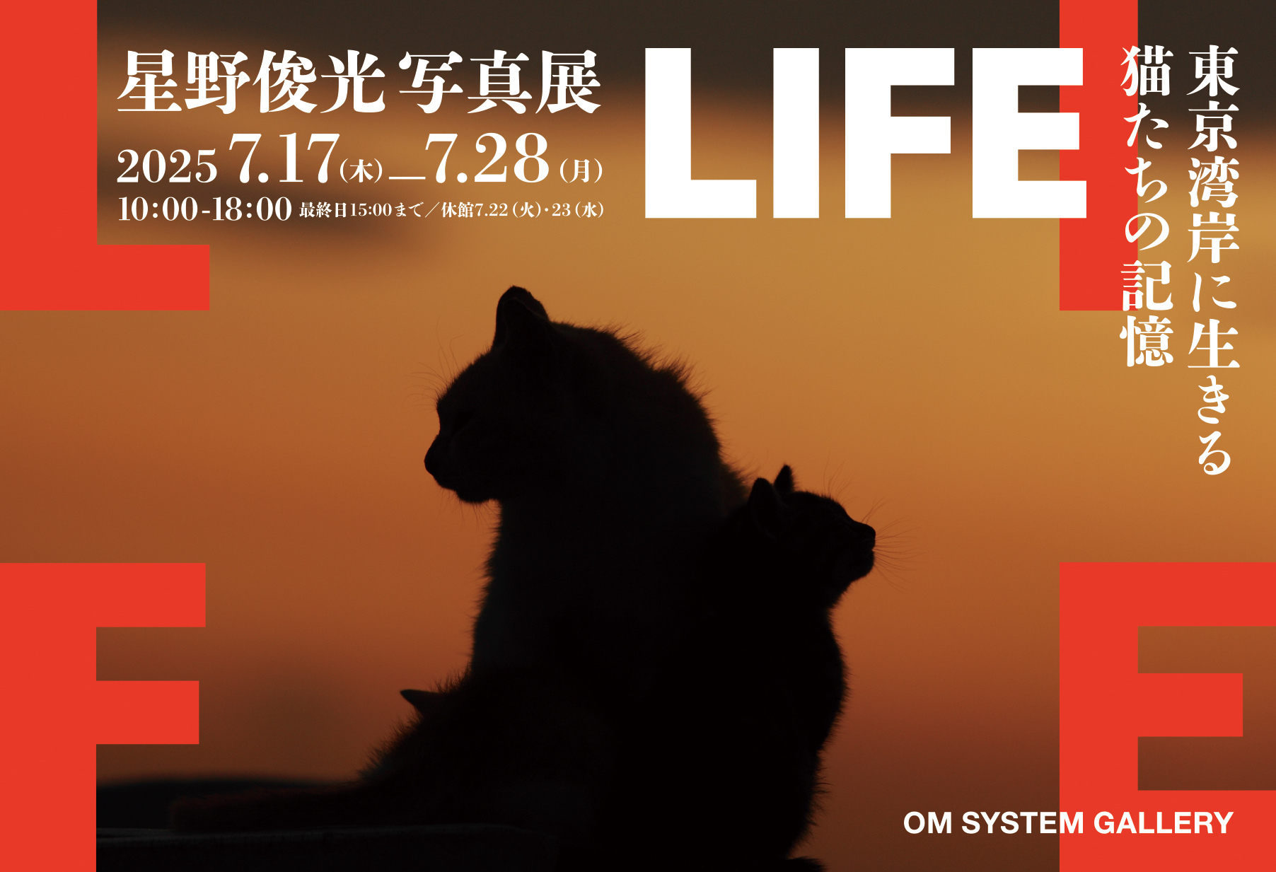 極北と森林の記憶 イヌイットと北西海岸インディアンの版画  /昭和堂（京都）/齋藤玲子（民族学）（大型本） 極北と森林の記憶 イヌイットと北西海岸インディアンの版画