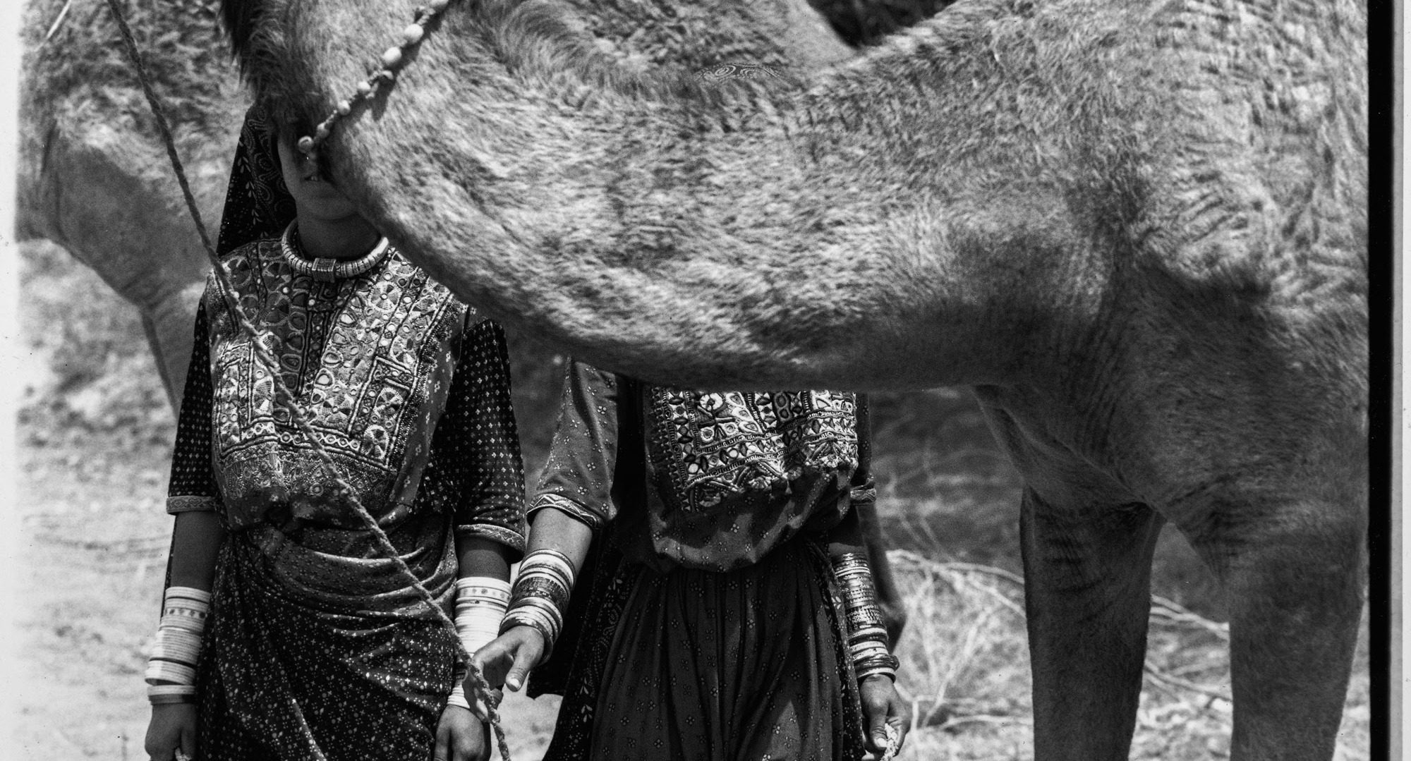 高木由利子の写真展、 Bunkamuraザ・ミュージアム移転前最後の展示
