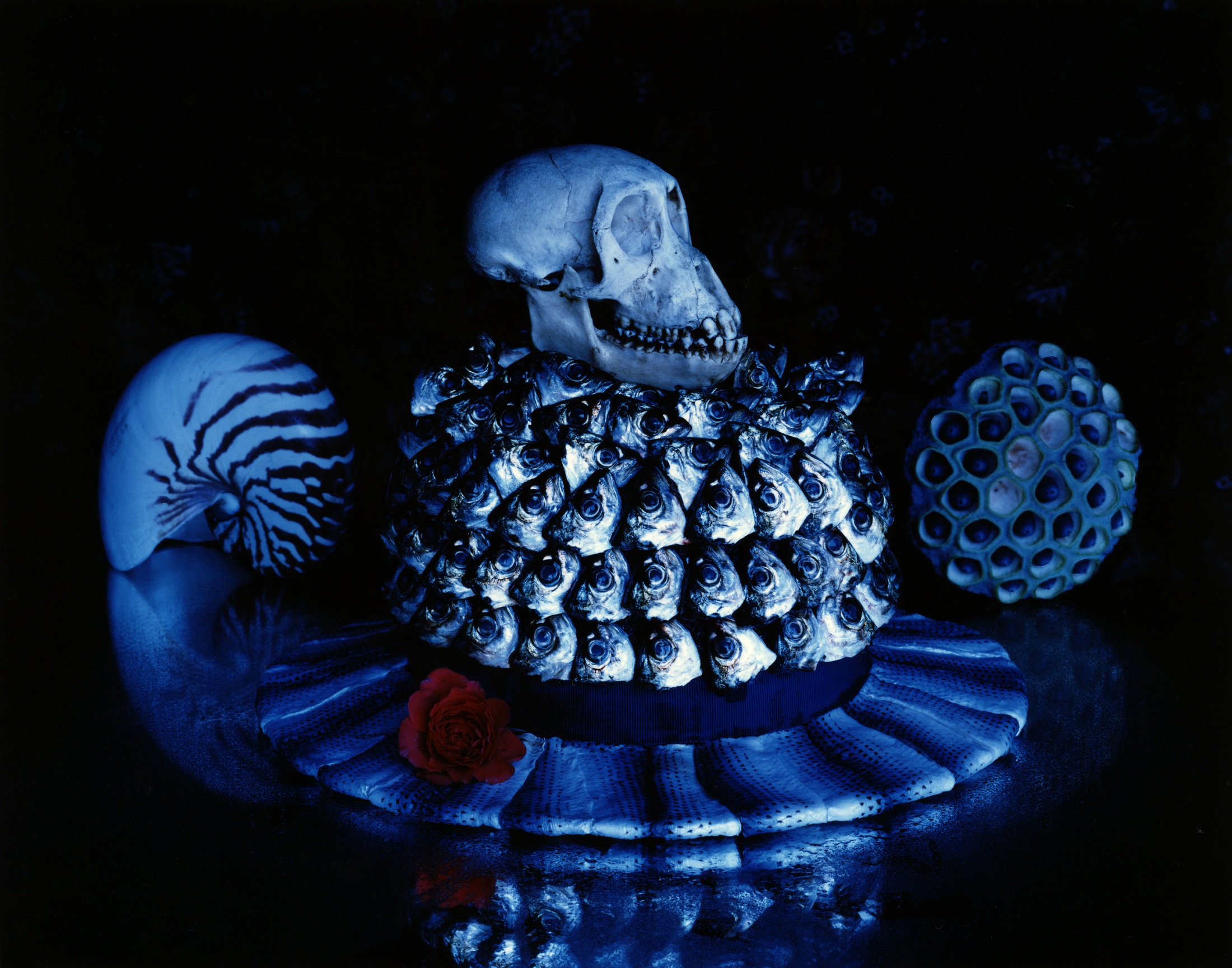 Michiko Kon “Philia” （Museum of Modern Art, Kamakura Annex