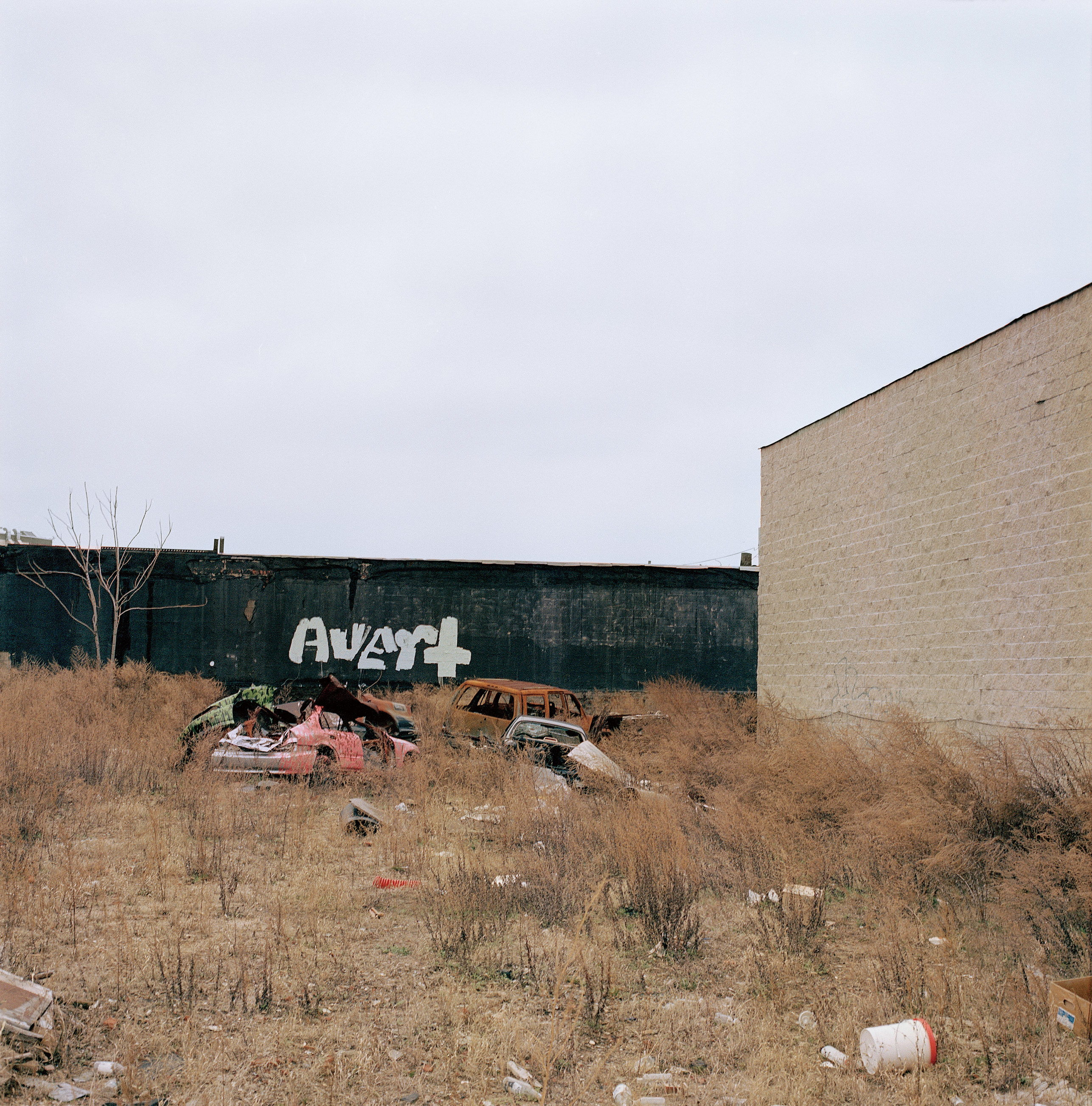 高木康行氏作品（木製フレーム付き） 高木康行氏作品（木製フレーム付き） 高木康行氏作品（木製フレーム付き）