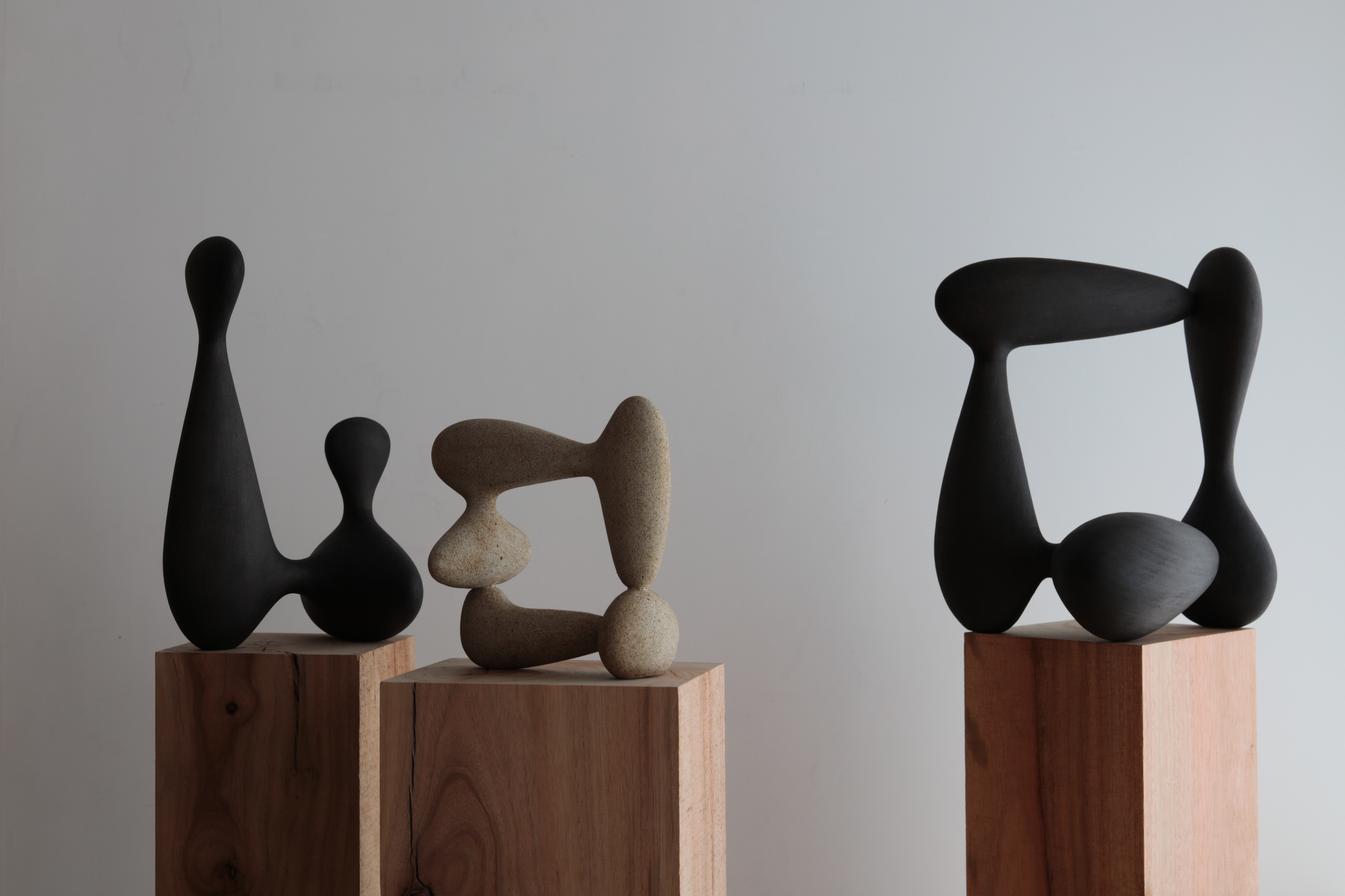 田上拓 「Primitive Equilibrium」 （MIDORI.so Bakuroyokoyama