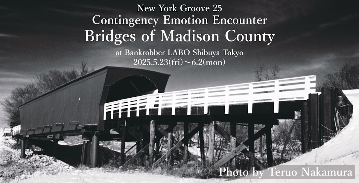 DMD ポスターサイン入りDMDLAND2 ZeeNuNew