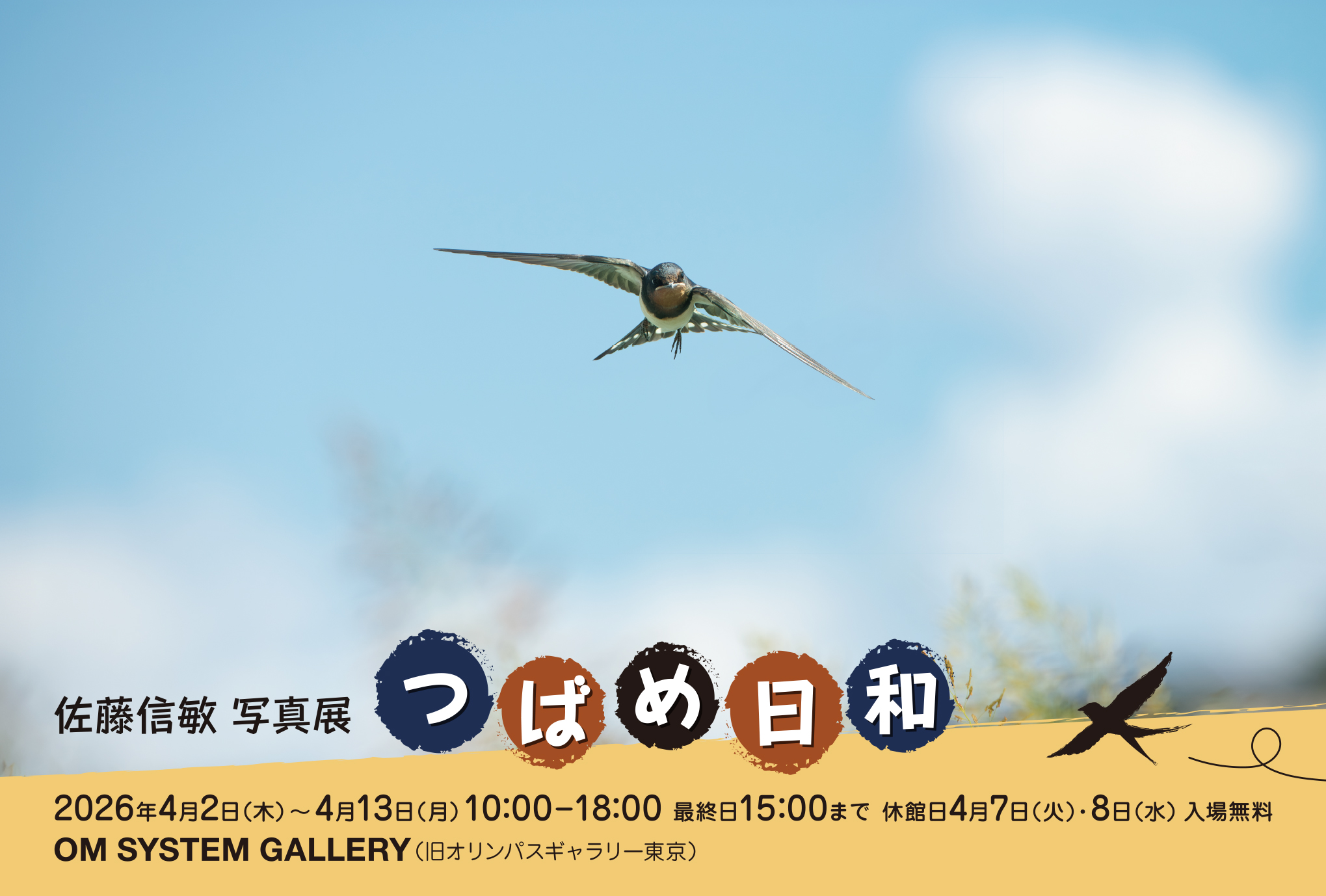 佐藤信敏 「つばめ日和」 （OM SYSTEM GALLERY） ｜Tokyo Art Beat