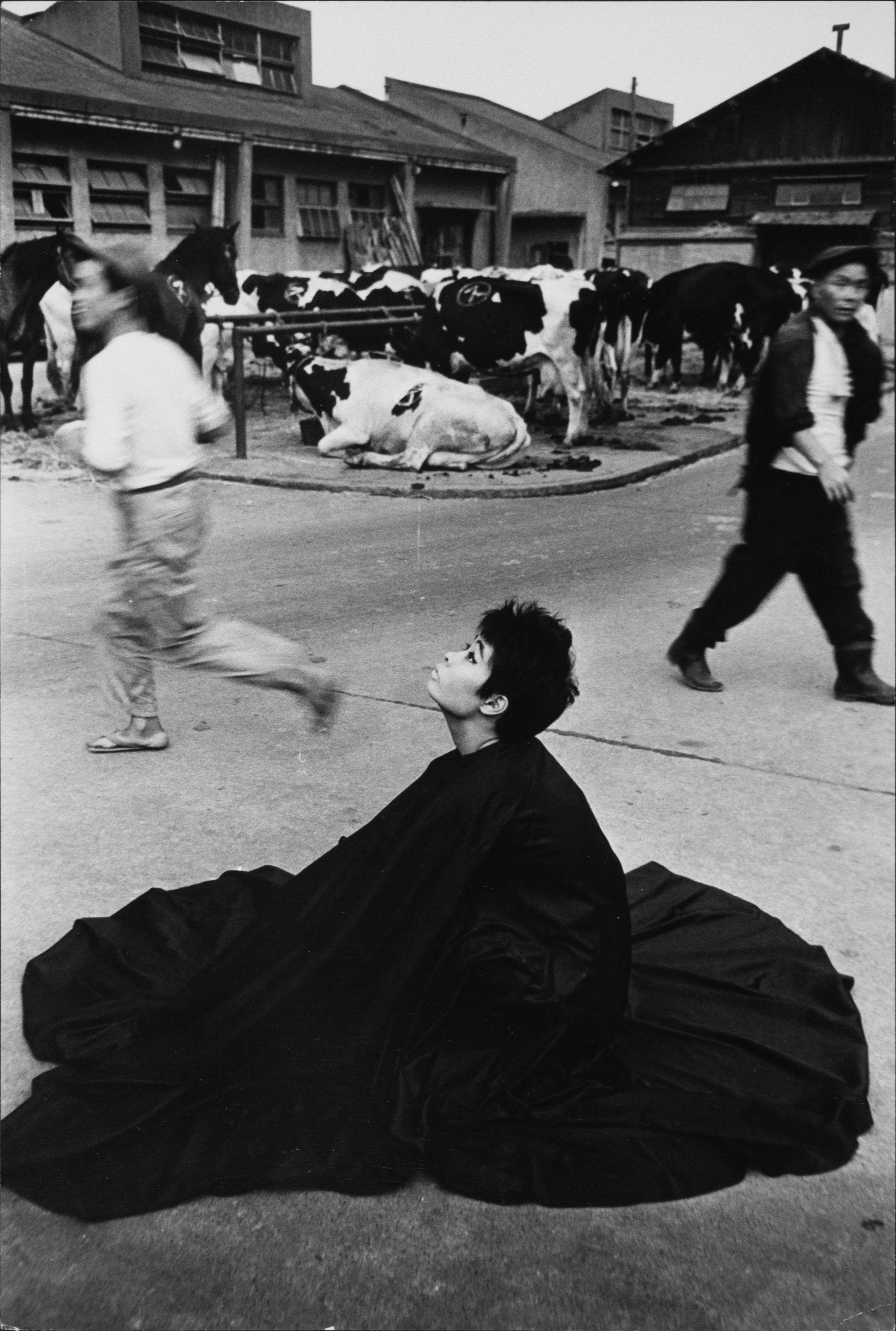 深瀬昌久 「洋子／遊戯」 （PURPLE） ｜Tokyo Art Beat