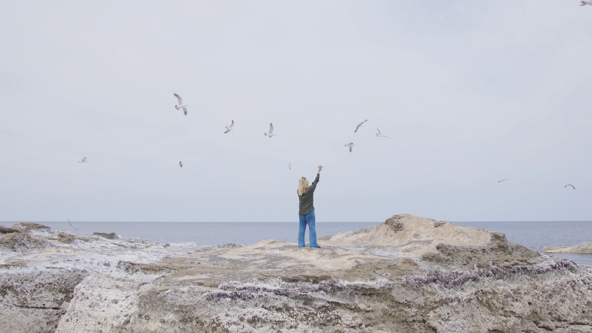 SIDE COREの個展「Living road, Living space / 生きている道、生きる
