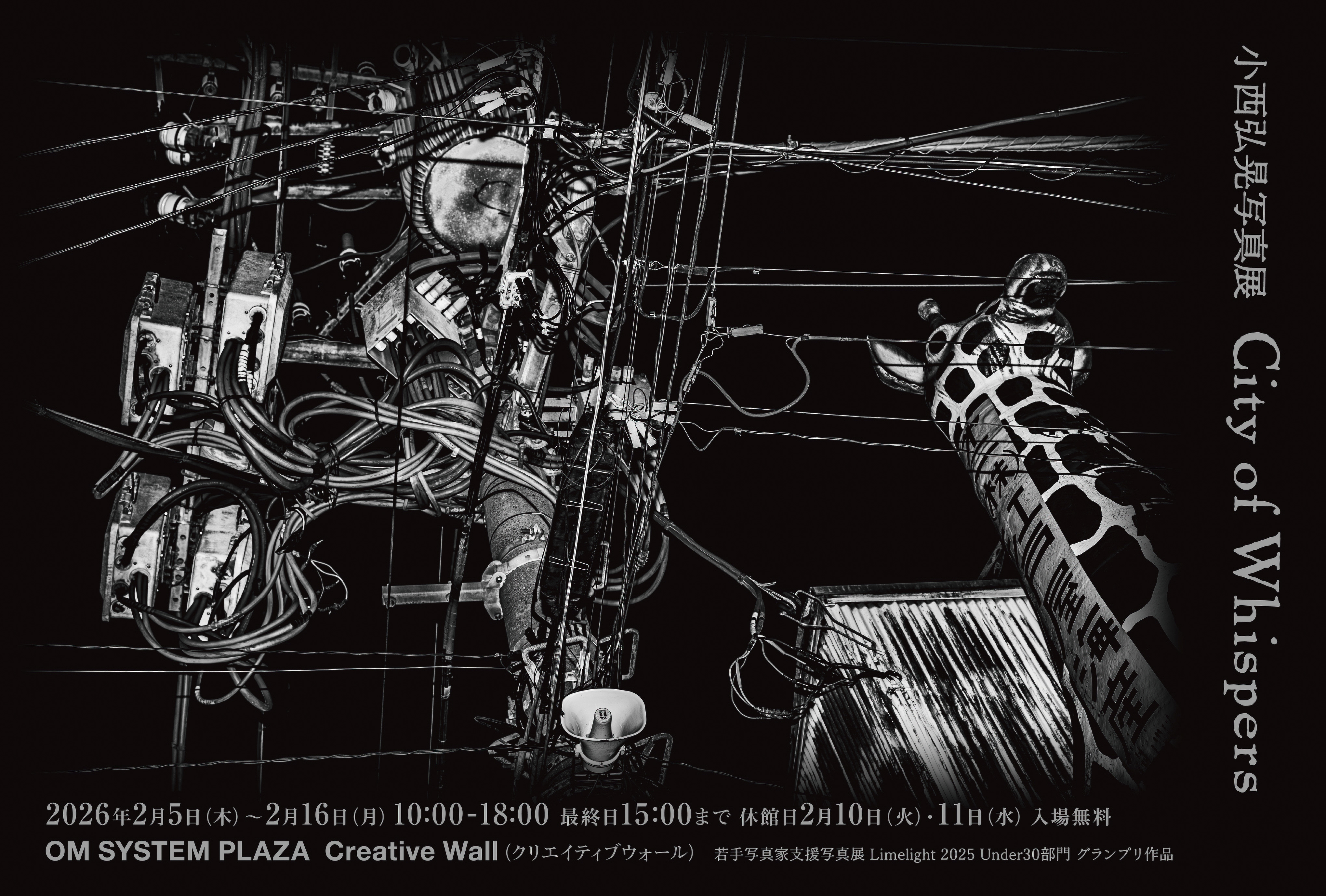 小西弘晃 「City of Whispers」 （OM SYSTEM PLAZA Creative Wall