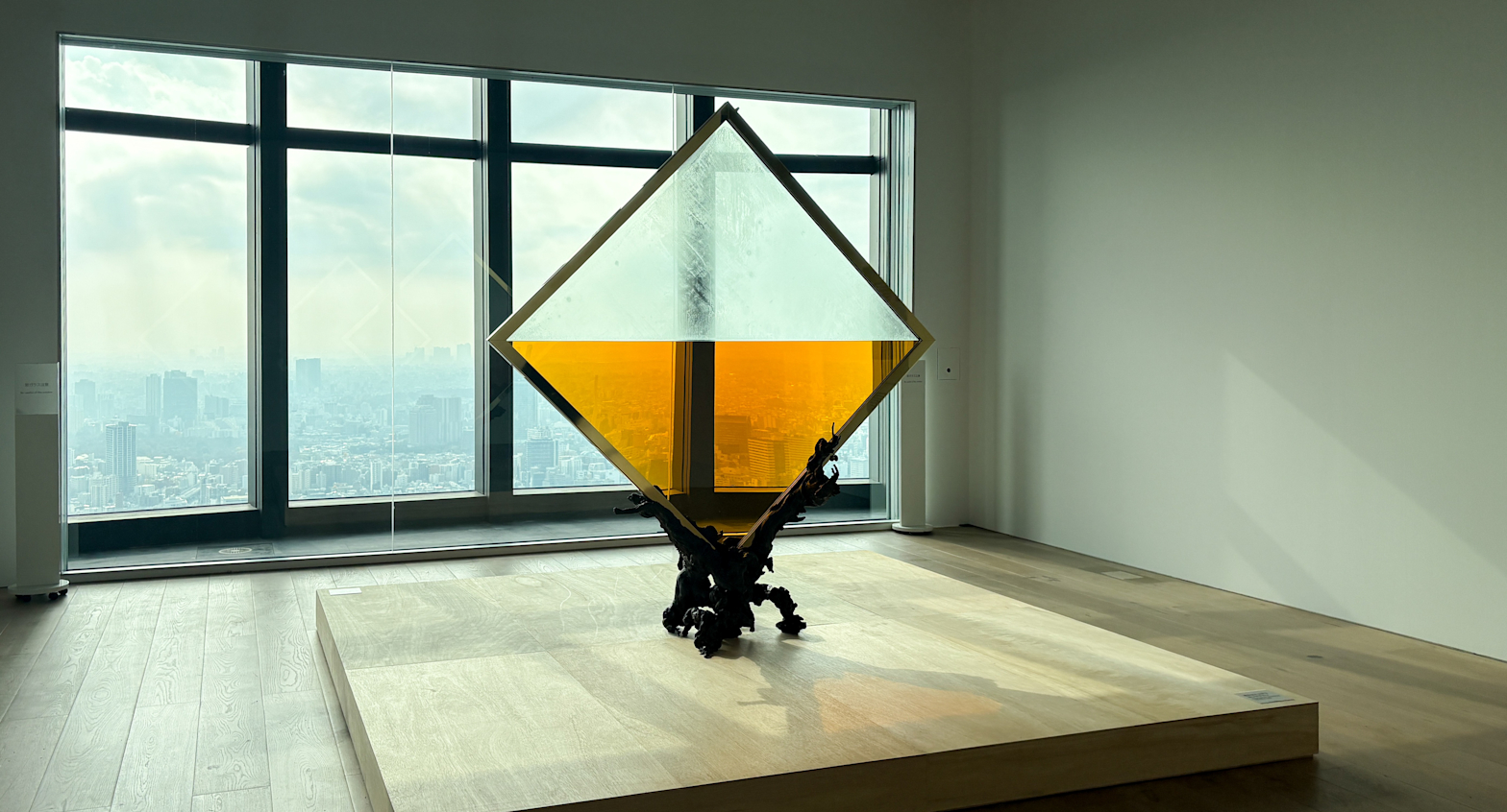 六本木クロッシング2025展：時間は過ぎ去る わたしたちは永遠」（森