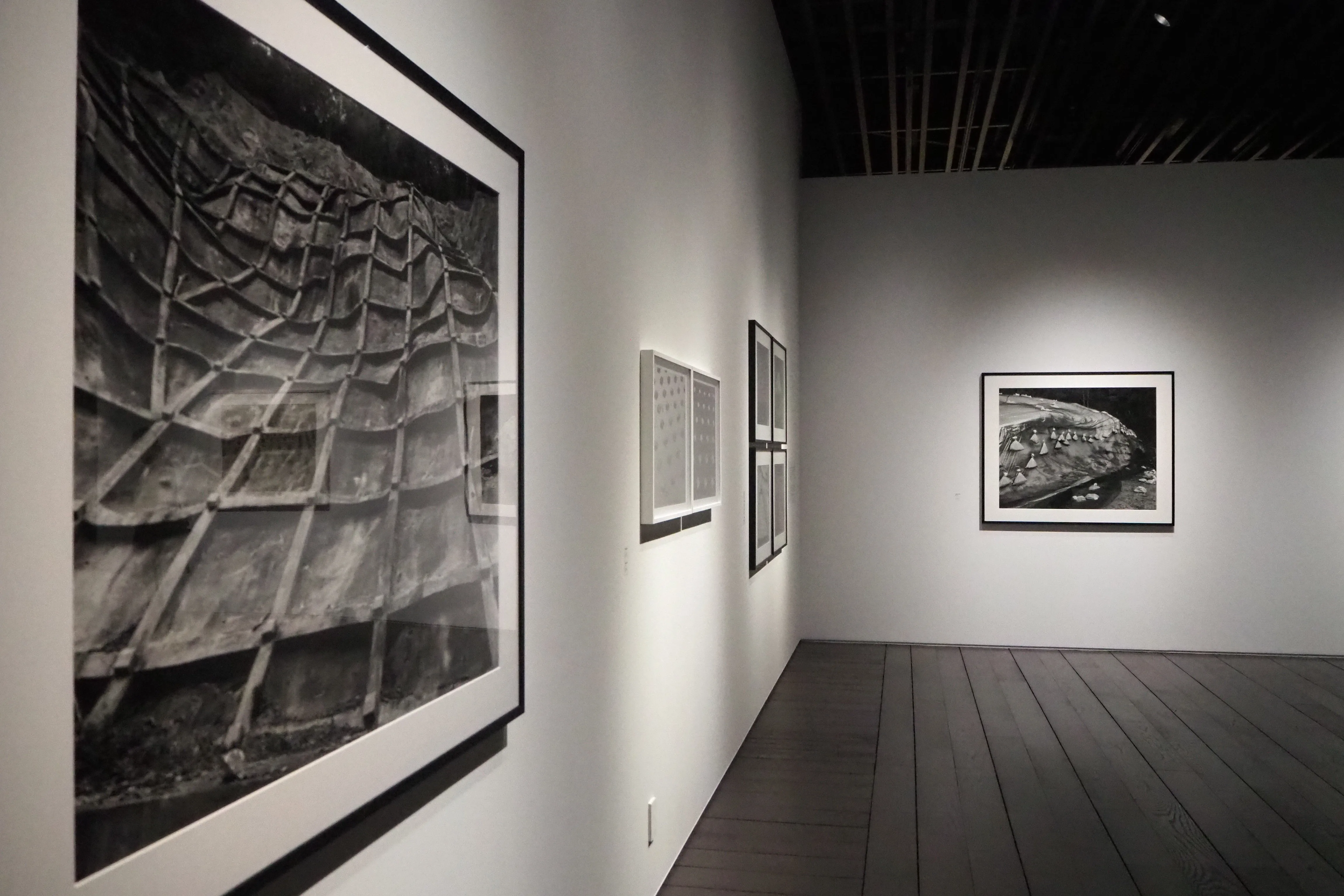 セザンヌを起点に、現代写真と絵画が交差する。「ジャム・セッション