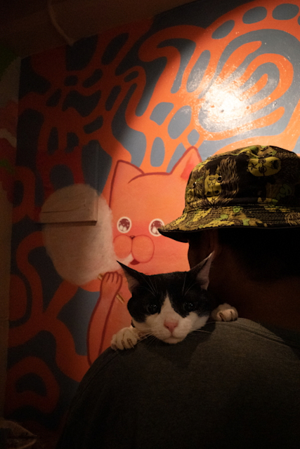 Canon オブジェ写真展出展の副賞です 沖縄写真タイフーン＜北から南から＞連動 上地 萌 写真展『猫もしゃく