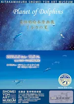 装飾　葉祥明　イルカの星 Amazon.co.jp: イルカの星 : 葉 祥明, 葉 祥明: 本