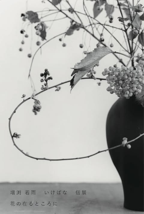 増渕若雨 「花の在るところに」 （OGU MAG） ｜Tokyo Art Beat