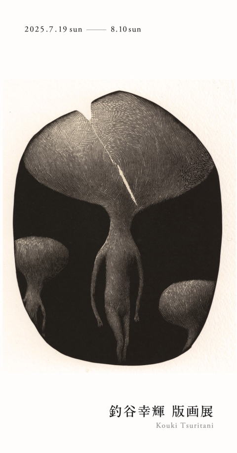 美術品　版画 鳴澤之富士 | 川瀬巴水 | 収蔵品詳細 | 作品を知る | 東京富士