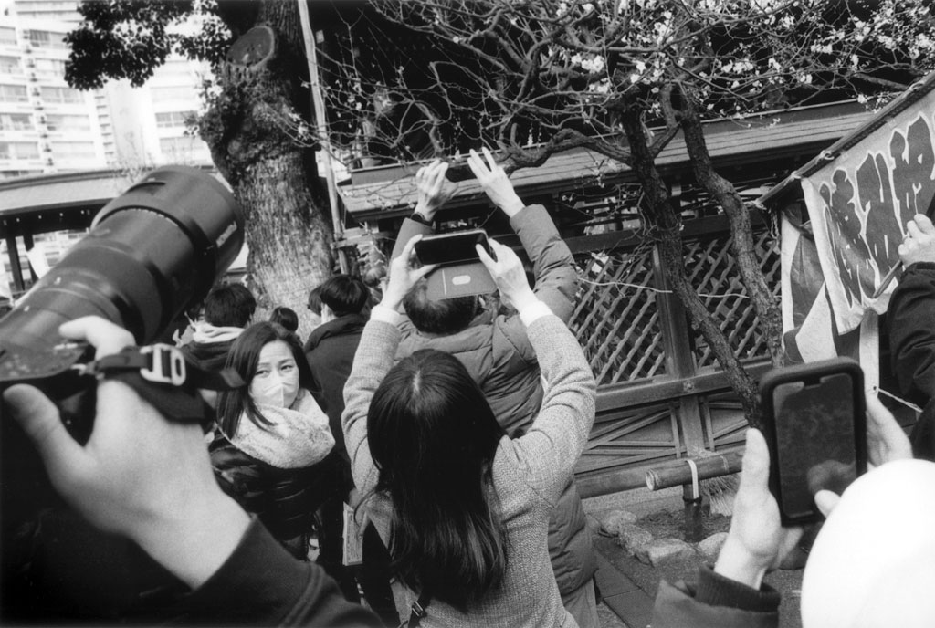 ジョン サイパル 「Other People's Pictures 2」 （Totem Pole Photo