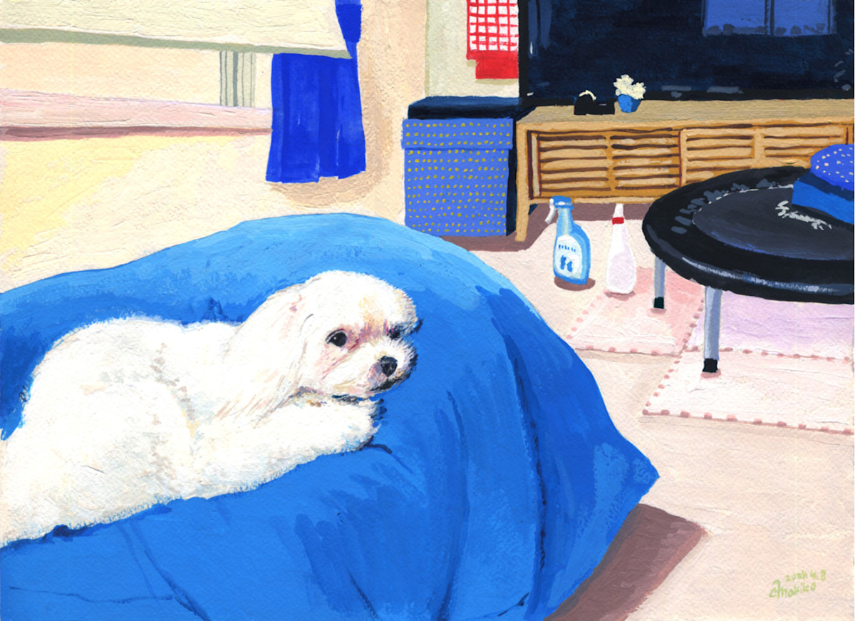 はらだまきこ 「Lu Design展 -犬 BLUE -」 （SAN-AI GALLERY +