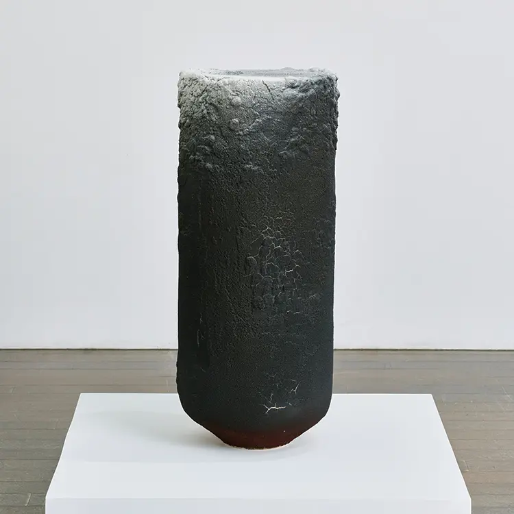 Taisei Watanabe 