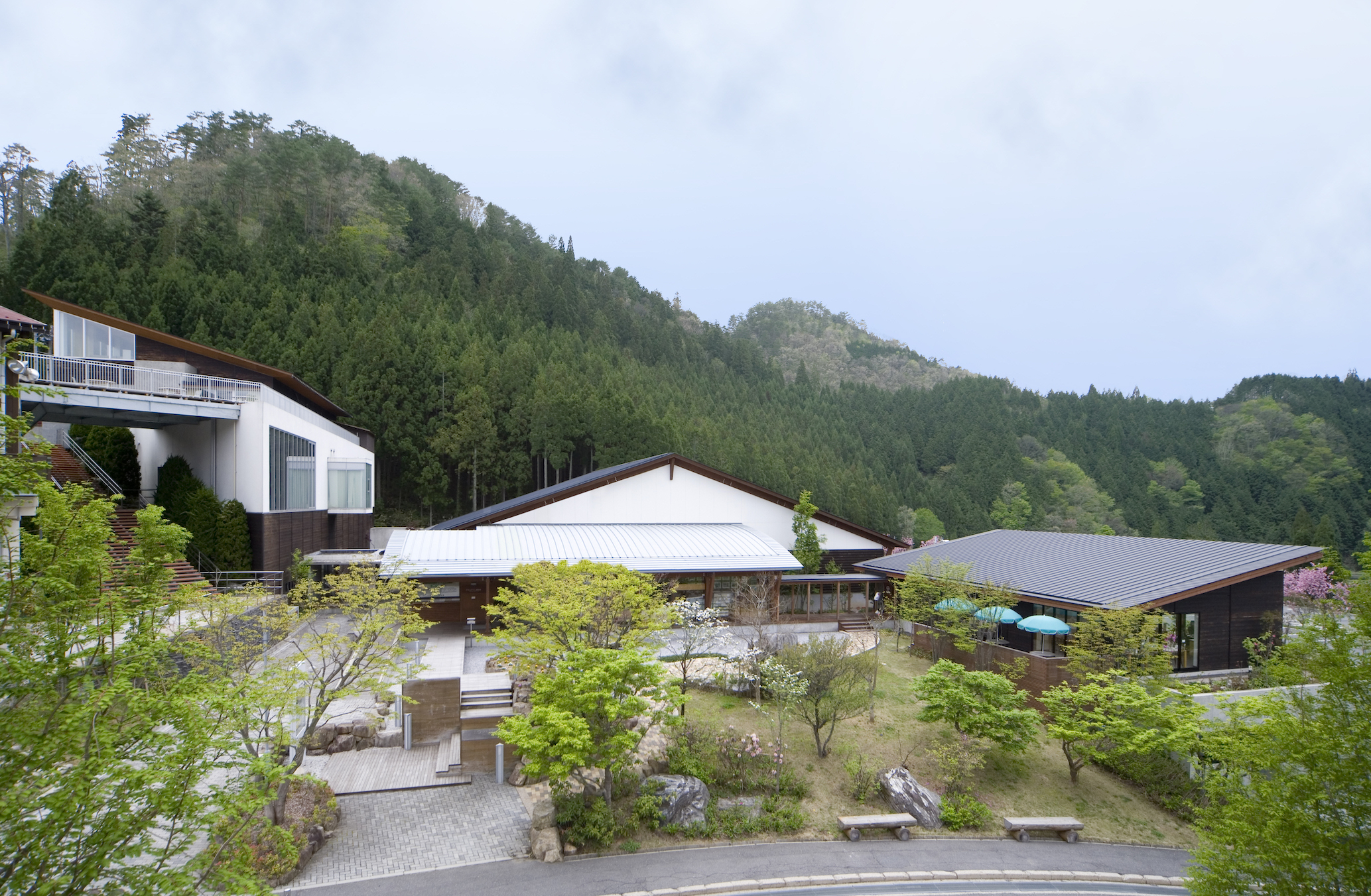 ウッドワン美術館所蔵　近代日本画の絵画名品展　図録 図録 ウッドワン美術館所蔵 近代日本の絵画名品展 - ノース