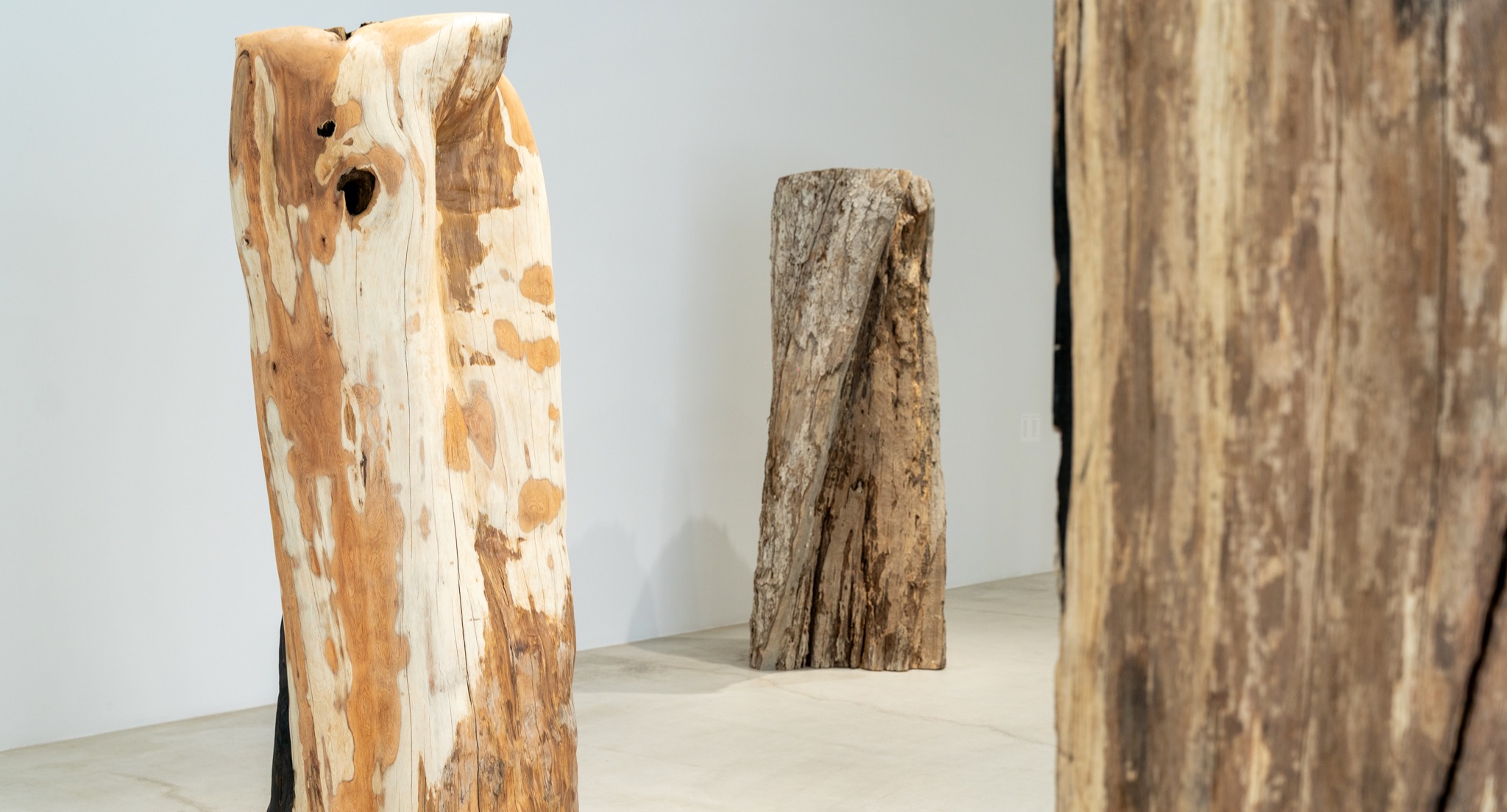 ロシア　鋼板の彫刻アート「黄金の秋」 金工作家・秋野ちひろさん｜カケラや切れ端で宙にドローイングするような