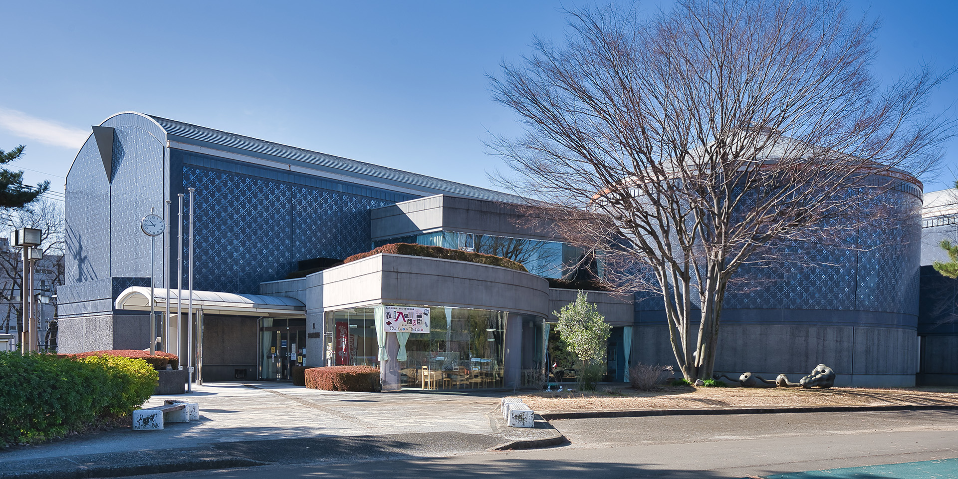 目で見る所沢・狭山・入間の１００年   /郷土出版社/大館右喜（大型本） 狭山市】狭山市立博物館で地元職人制作のひな人形等を集めた