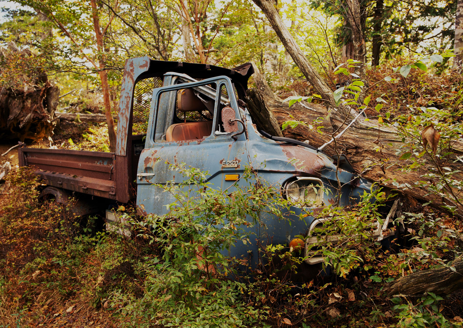 木村清司 「大峰、人、痕跡」 （ギャラリー・ソラリス） ｜Tokyo Art Beat