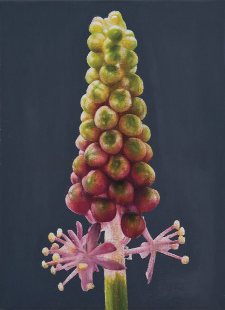原画「桜」S8・油彩 | かいがのみせあかちゃん ｜インテリア絵画