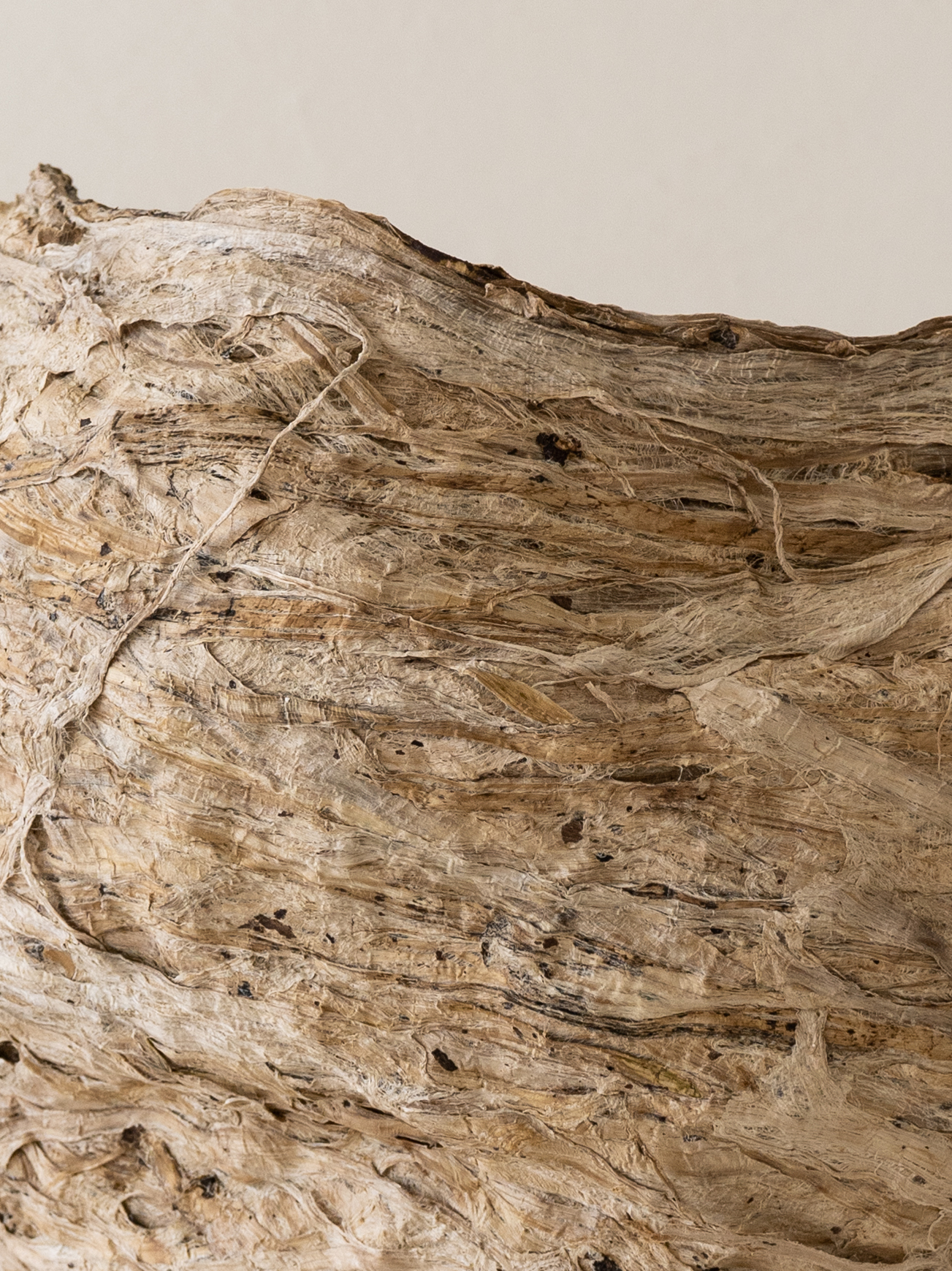 Gen Taniguchi Exhibition （Koen Kyoto） ｜Tokyo Art Beat