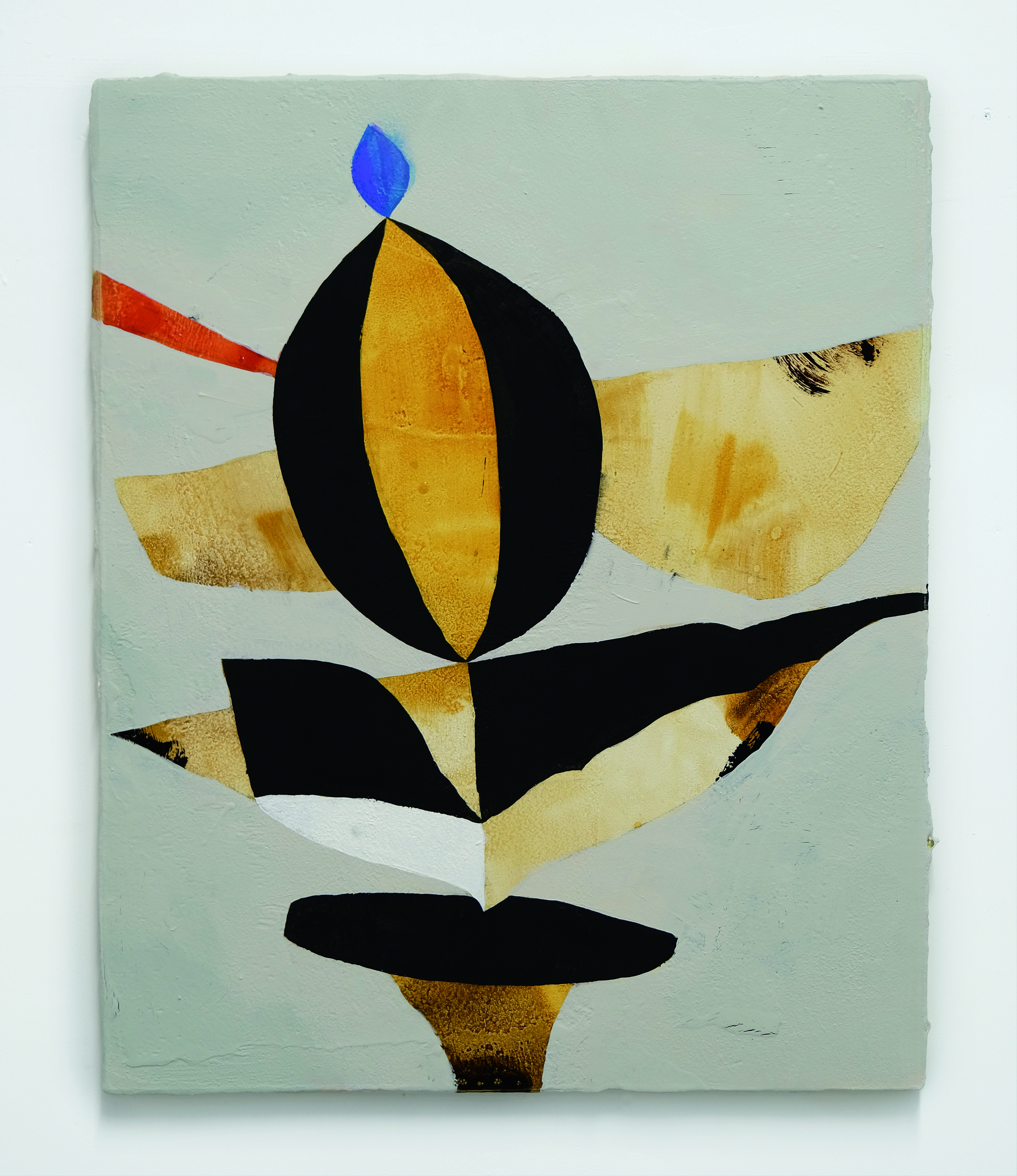 角田純 「The secret life of plants」 （Gallery Common） ｜Tokyo