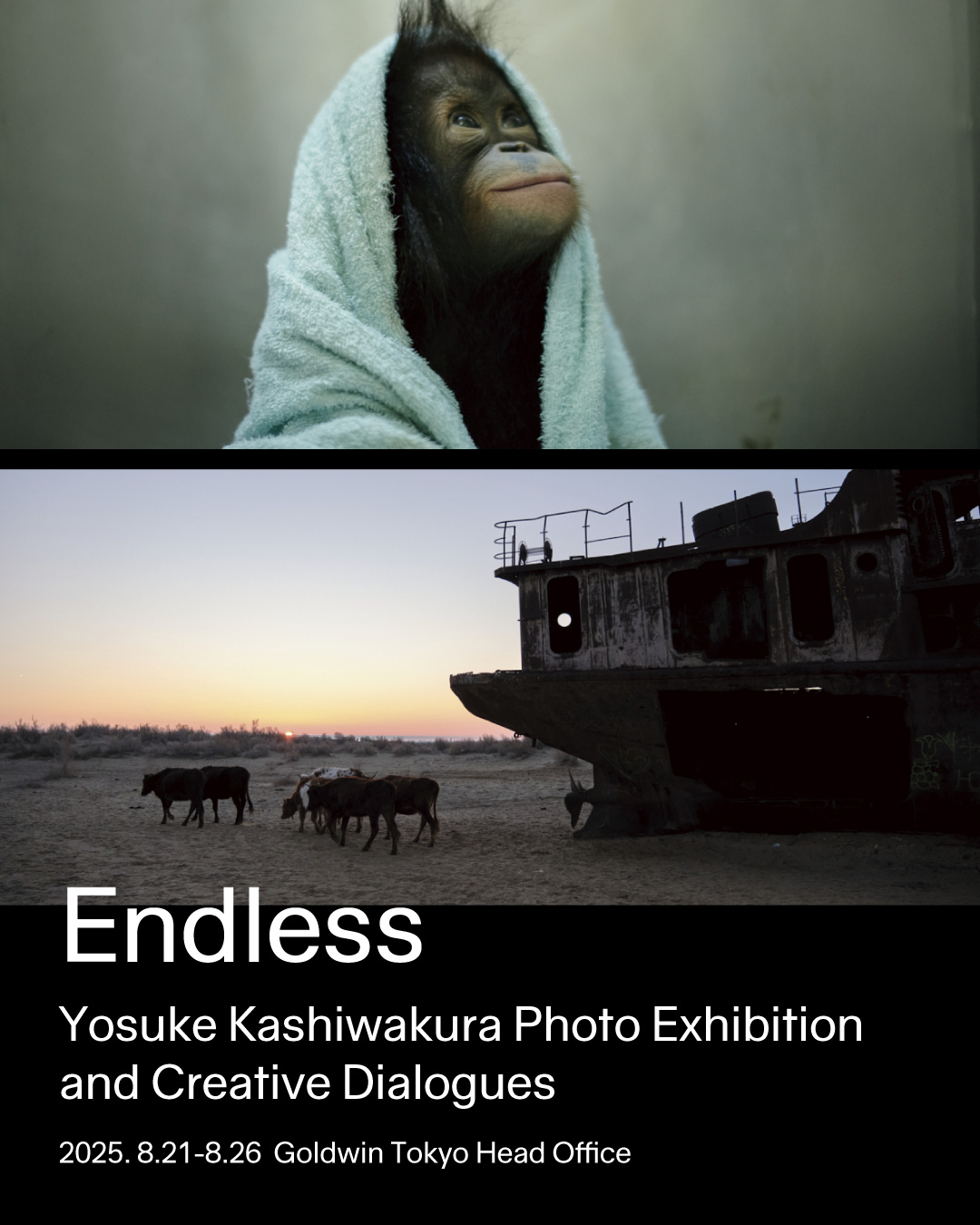 Endless_TOP_1080_1350.jpg