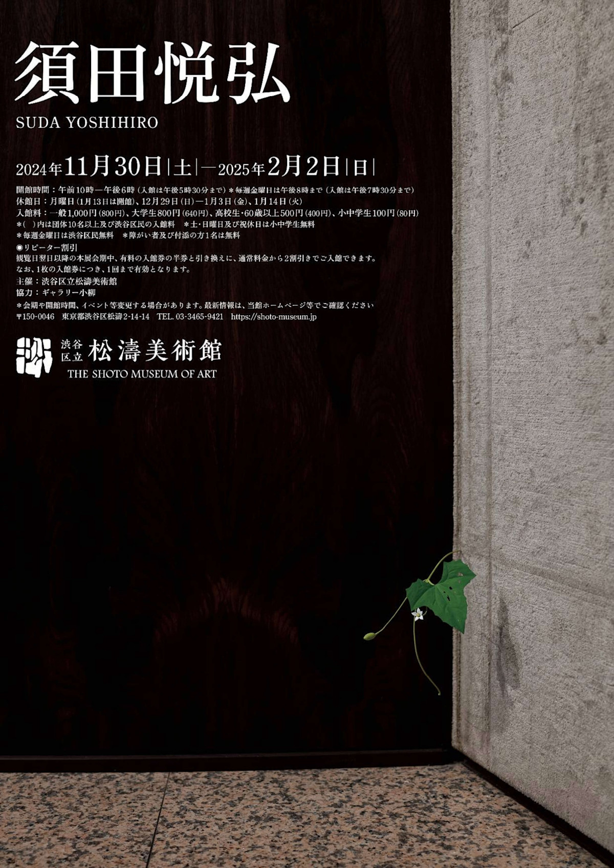 須田悦弘 展 （渋谷区立松濤美術館） ｜Tokyo Art Beat